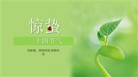 浅绿动态春的惊蛰ppt模板