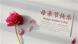 小清新母亲节通用PPT模板