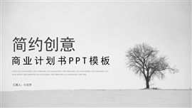 简约创意商业计划书PPT模板