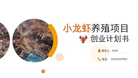 小龙虾养殖创业计划书PPT模板