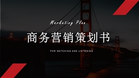 商务营销项目策划书ppt模板