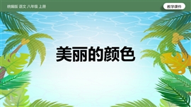 初中语文八年级上册《第2单元9美丽的颜色》PPT课件