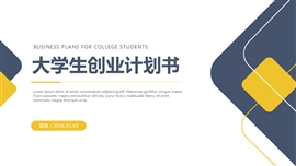 简约大学生创业项目计划书PPT模板