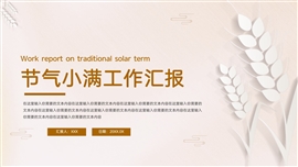 小满节气工作汇报ppt模板