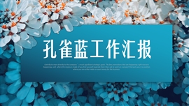 孔雀蓝工作总结报告PPT模板