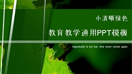 小清新绿色教育教学通用ppt模板