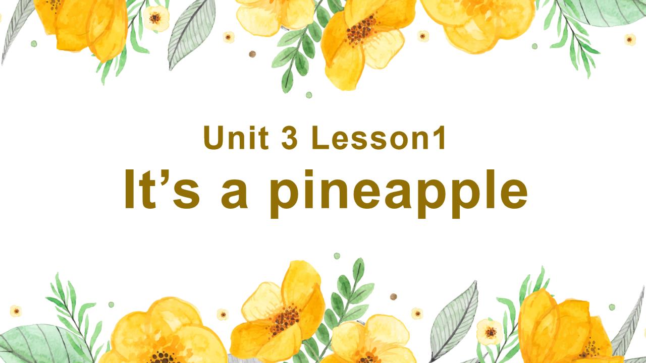 小学英语人教版四年级上《unit 3 it’s a pineapple》PPT课件