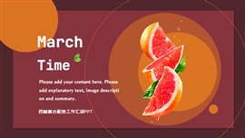 西柚复古配色工作汇报ppt模板