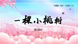 初中语文七年级下册一课小桃树PPT课件