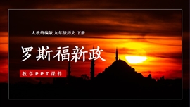 历史九年级下册第13课罗斯福新政PPT课件