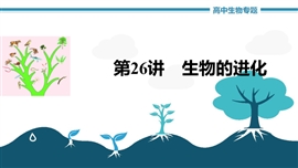 高中生物《第26讲生物的进化》PPT课件