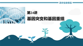 高中生物《第24讲基因突变和基因重组》PPT课件