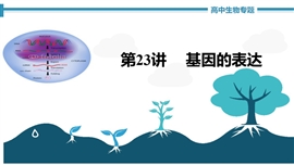 高中生物《第23讲基因的表达》PPT课件