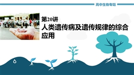 高中生物《第20讲人类遗传病及遗传规律的综合应用》PPT课件