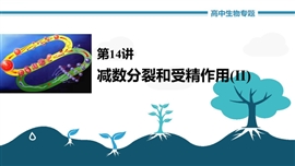 高中生物《第14讲减数分裂和受精作用ⅱ》PPT课件