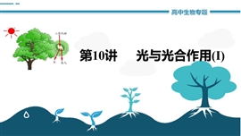 高中生物《第10讲光与光合作用ⅰ》PPT课件