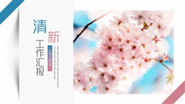 小清新樱花工作汇报通用PPT模板