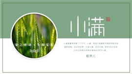 绿色创意小满节气介绍ppt模板