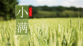 小清新小满节气通用ppt模板