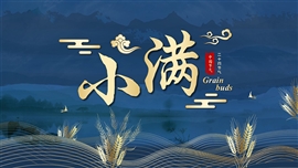 夏季小满节气通用PPT模板