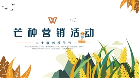 节气芒种营销活动计划ppt模板