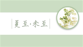 夏至未至小清新绿色文艺简约ppt模板