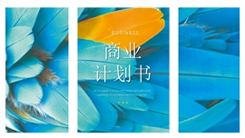 大气羽毛时尚总结计划通用ppt模板