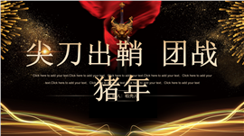 黑金风商务风创业计划书通用PPT模板