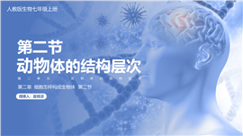 初中生物人教版七年级上册《动物体的结构层次》PPT课件