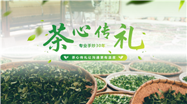 绿色养生茶叶品牌项目招商ppt模板