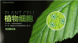 初中生物人教版七年级上册《植物细胞》PPT课件