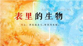 小学语文六年级下册《表里的生物》PPT课件