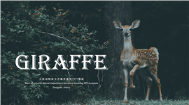 立秋动物系文艺教学通用英文ppt模板