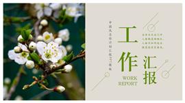 绿色清新总结计划汇报ppt模板