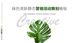 绿色清新营销活动策划模板中英双语PPT模板