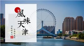 天津风光城市印象旅游家乡介绍改革发展ppt模板