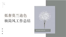 简约莫兰迪色工作总结PPT模板