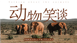 初中语文部编版七年级上册《动物笑谈》PPT课件