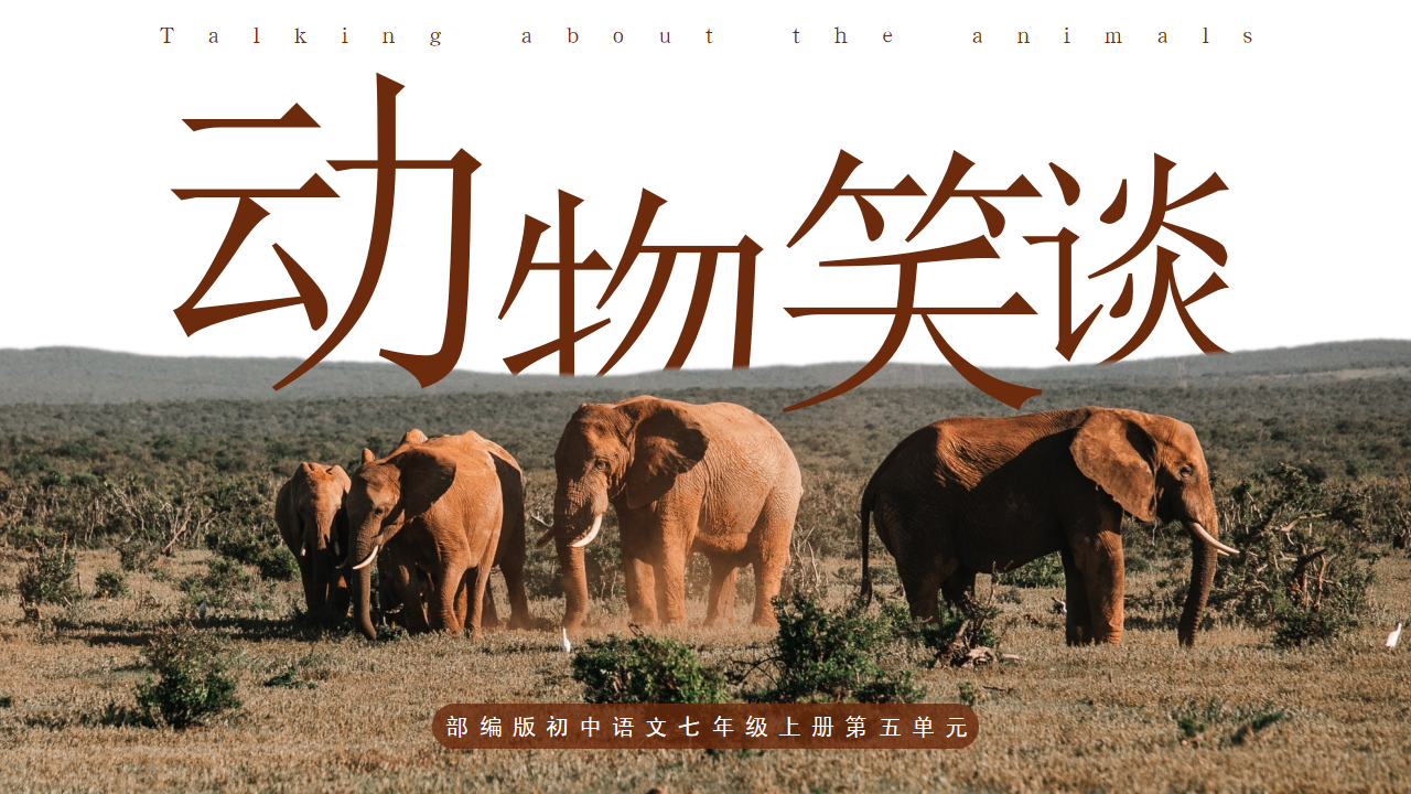初中语文部编版七年级上册《动物笑谈》PPT课件