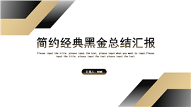 简约经典黑金工作总结汇报PPT模板