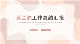 莫兰迪工作总结汇报PPT模板