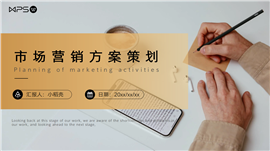 简约商务市场营销方案策划ppt模板