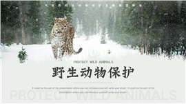 大自然野生动物保护主题教育PPT模板