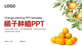 橘子种植营销宣传ppt模板