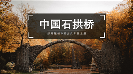 初中语文部编版八年级上册《中国石拱桥》PPT课件