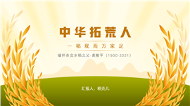 缅怀袁老袁隆平人物介绍PPT模板