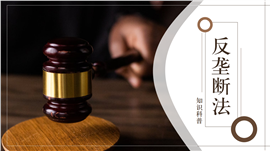 法律反垄断法完整版知识科普PPT模板