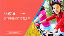 简约商务风平台上线推广运营整体方案PPT模板