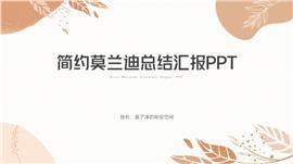 简约莫兰迪总结汇报ppt模板