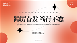 弥散光新年计划总结汇报PPT模板